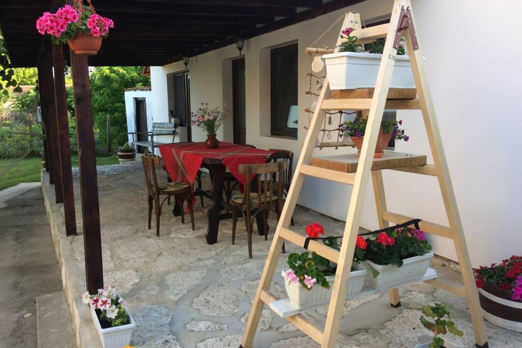 Guest House Kostadinovi Bŭlgarevo Eksteriør bilde